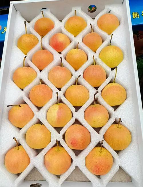 中秋节送礼除了月饼还能送什么呢?